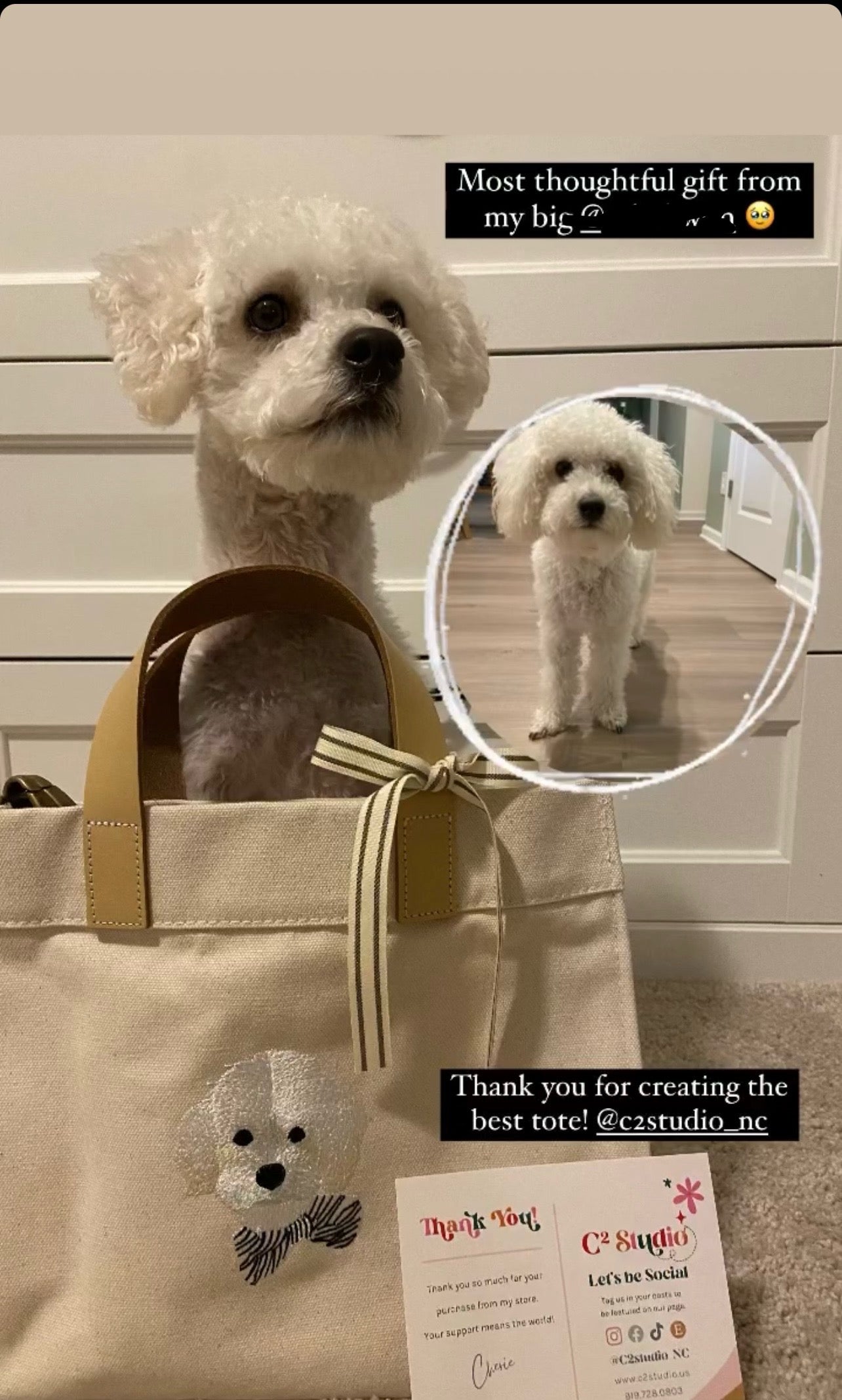 Custom Embroidered Pet Portrait Crossbody Mini Tote - Canvas Utility Bag with Leather Handles & Adjustable Strap